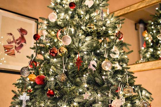 Christmas Tree safety tips for residents of Chester County, PA from Chester County Hospital.